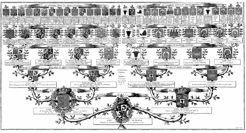 lajussienne.com - Arbre généalogique du Dauphin Louis, fils du roi Louis XV et de la reine Marie Leszczynska, père du futur roi Louis XVI. Gravure de l'Encyclopédie de Diderot et d'Alembert